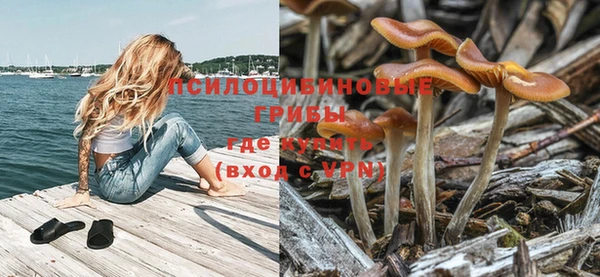 тгк Корсаков